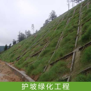 广东宝德环境建设护坡绿化工程施工边坡草皮草坪垂直绿化